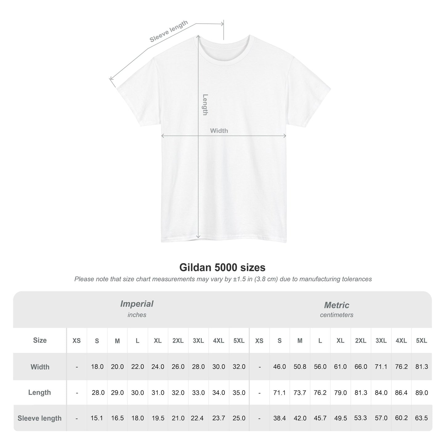 NO Struggle NO Progress GRAY TEE